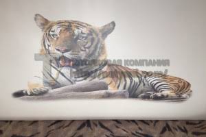 Натяжной потолок фотопечать, звездное небо