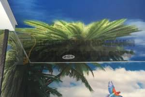 Заказать натяжные потолки