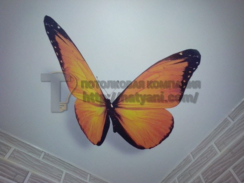 Парящий натяжной потолок в Ногинске